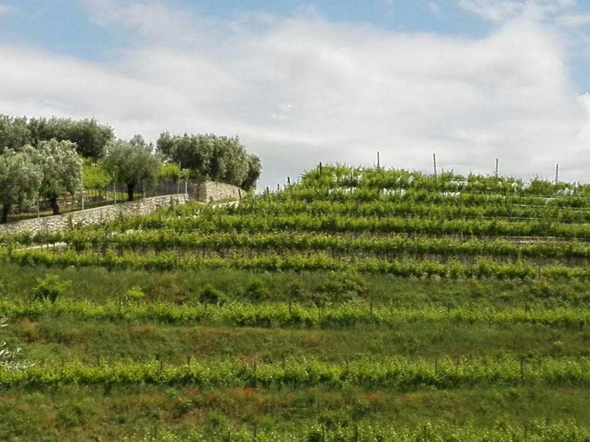 B&B Corte Giare Sant'Ambrogio di Valpolicella Exterior photo